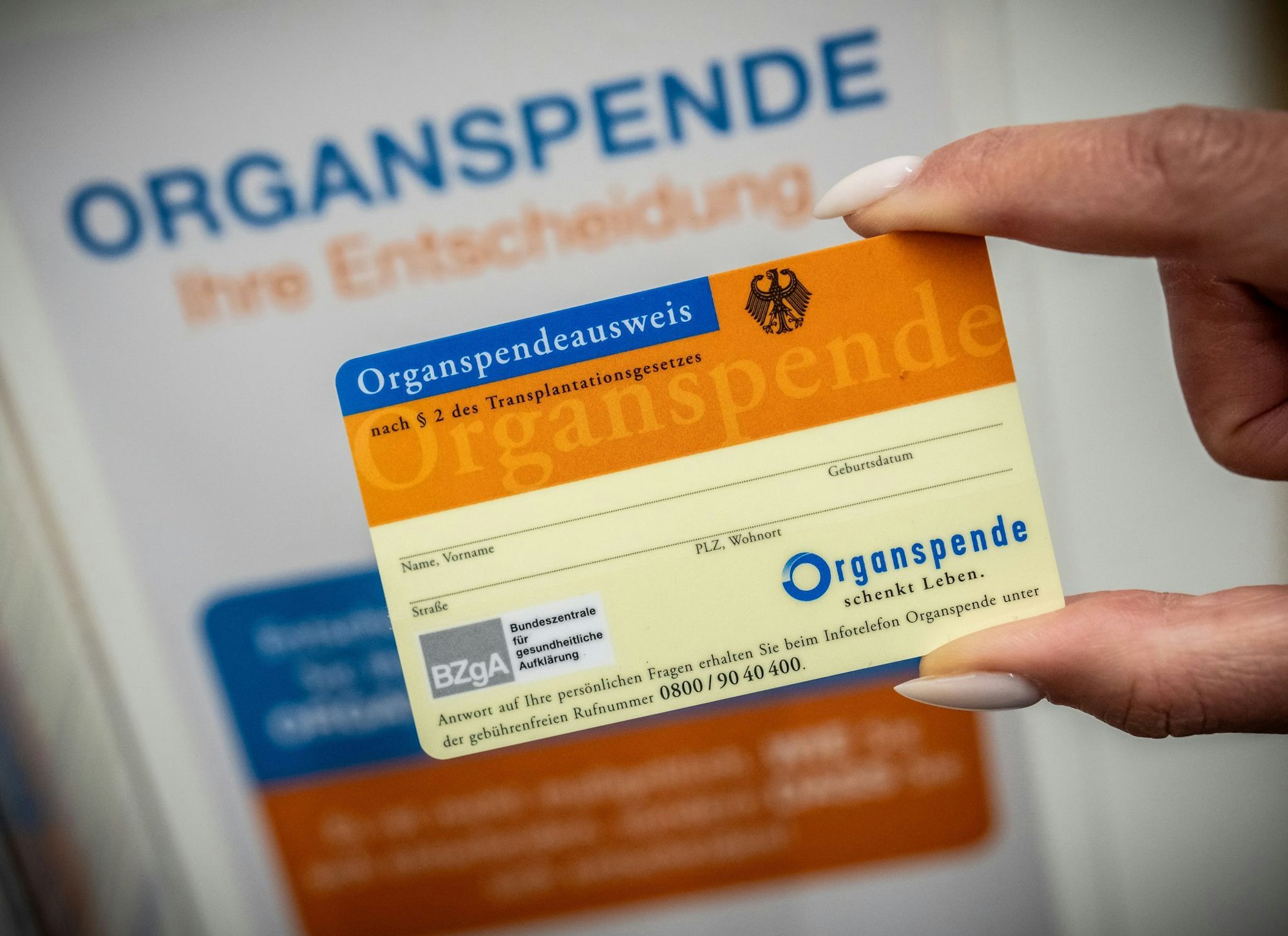 Ein Organspendeausweis schafft Klarheit - denn nach wie vor fehlen in NRW jedes Jahr Tausende Spenderorgane. (Archivbild)
