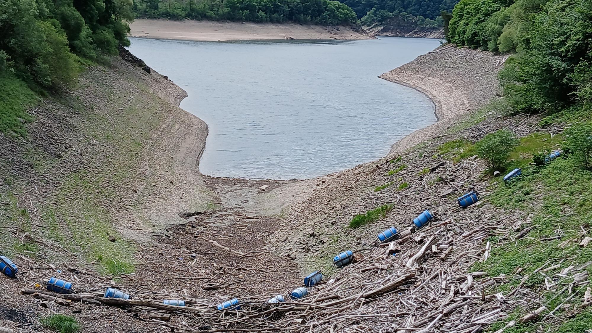 Treibgut liegt im Vordergrund des Bildes. Im Hintergrund befinden sich ein See und Bäume.