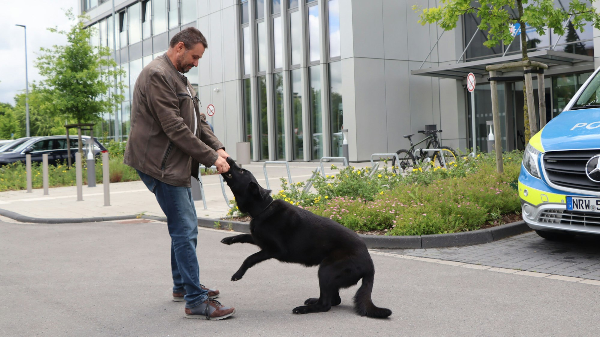 Auf dem Bild ist ein Mann zu sehen, der mit einem Schäferhund spielt.