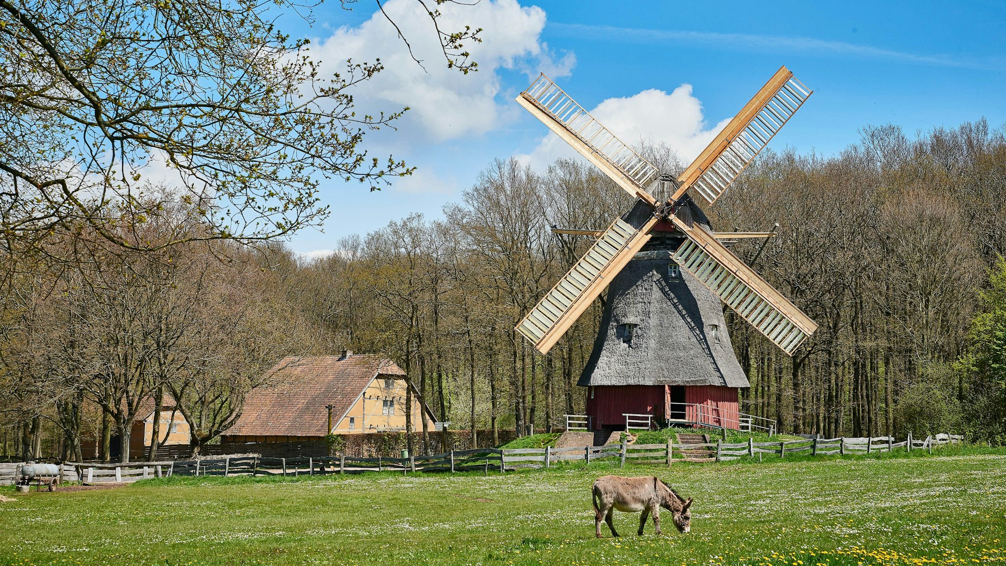 Bockwindmühle im Freilichtmuseum Kommern