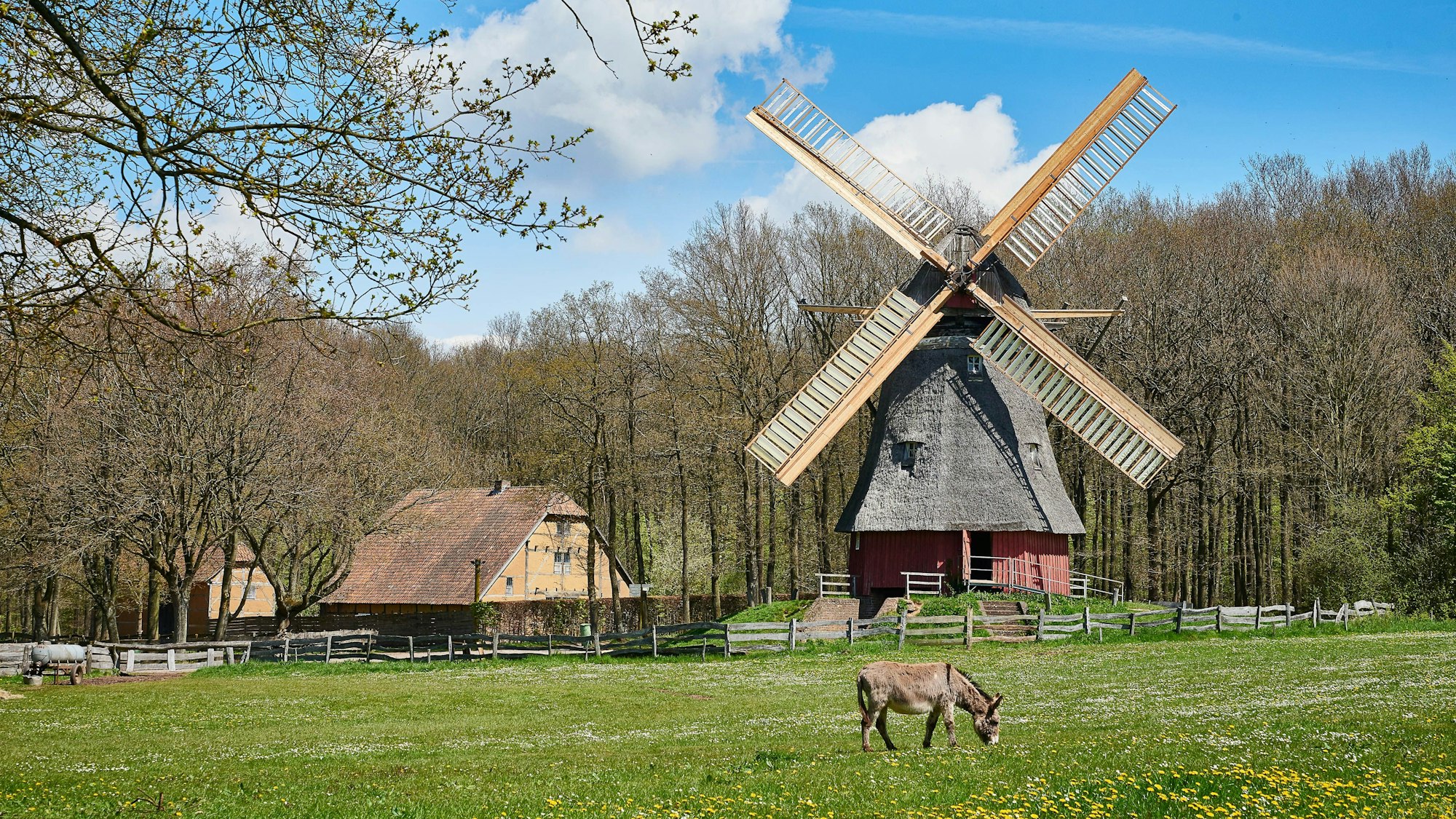 Ein Esel grast auf einer grünen Wiese, eine historische Mühle und zwei alte Häuser sind dahinter zu sehen, umgeben von Wald.