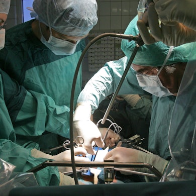 In der Klinik für Urologie am Universitätsklinikum wird bei einer Operation einem Spender eine Niere entnommen, die für eine Transplantation vorgesehen ist.