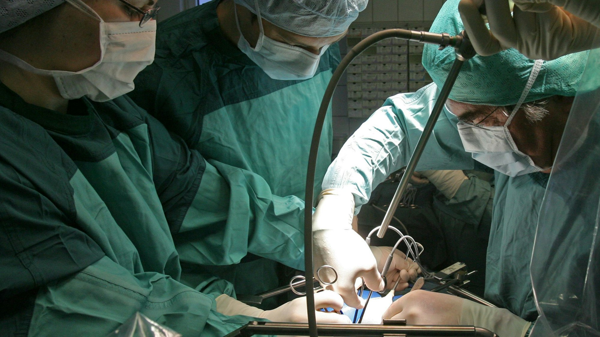 In der Klinik für Urologie am Universitätsklinikum wird bei einer Operation einem Spender eine Niere entnommen, die für eine Transplantation vorgesehen ist.