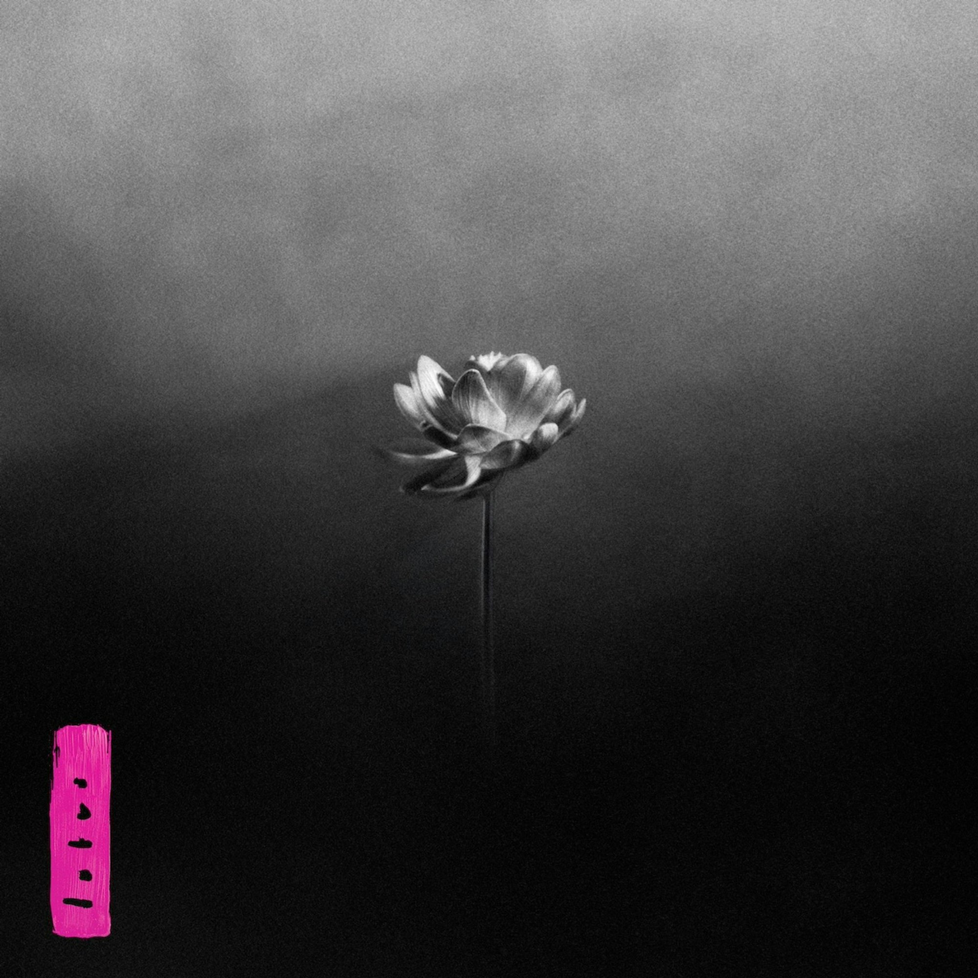 Das Albumcover des neuen Albums «Lotus» von Little Simz.