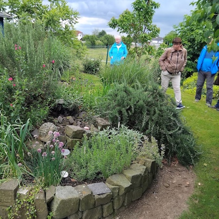 Menschen betrachten eine Kräuterspirale in einem Garten.