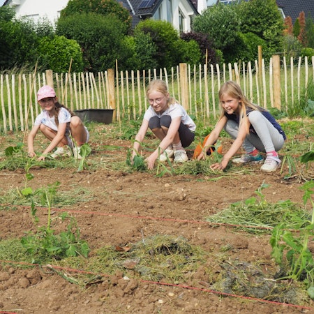 Das Bild zeigt drei Mädchen, die in dem Gemüsegarten am Boden hocken und arbeiten.
