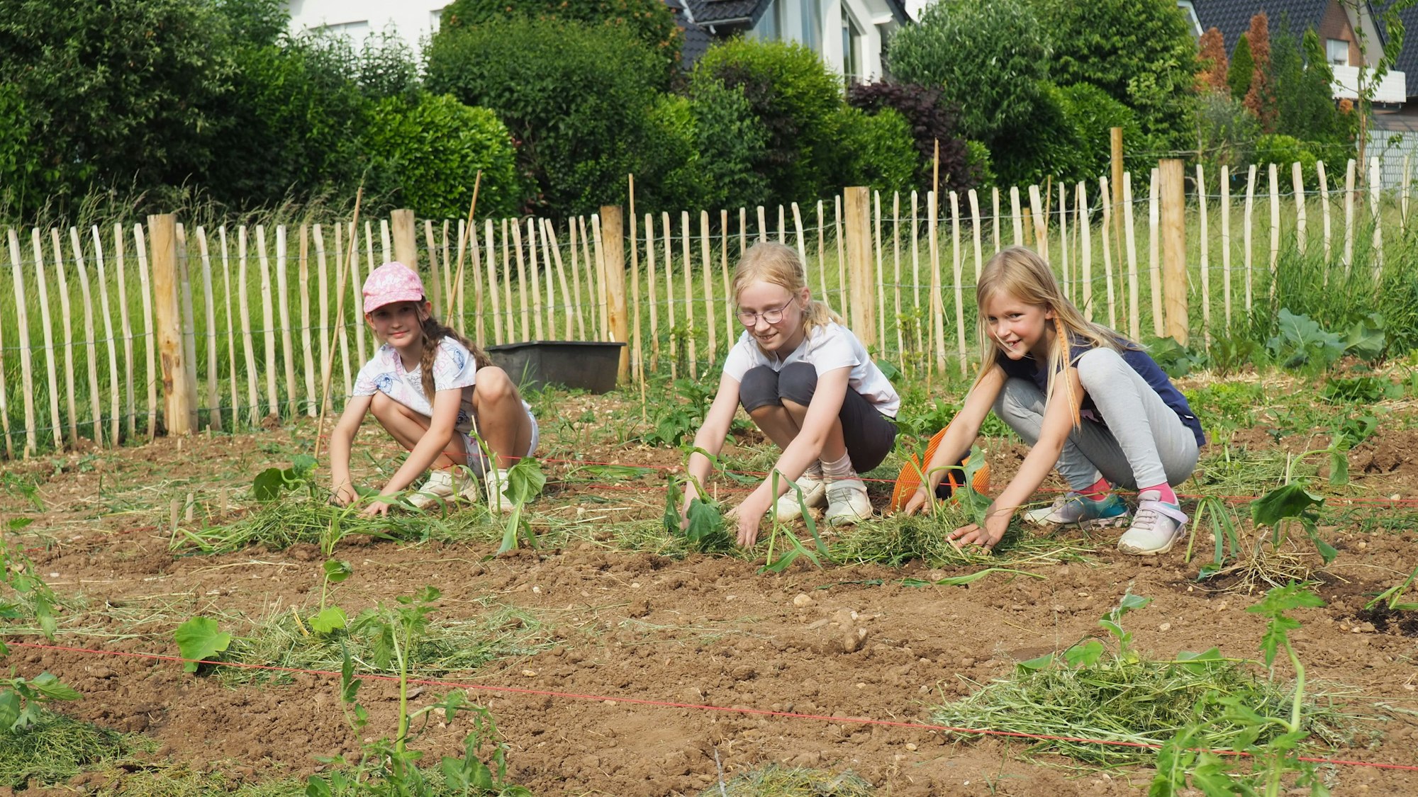 Das Bild zeigt drei Mädchen, die in dem Gemüsegarten am Boden hocken und arbeiten.