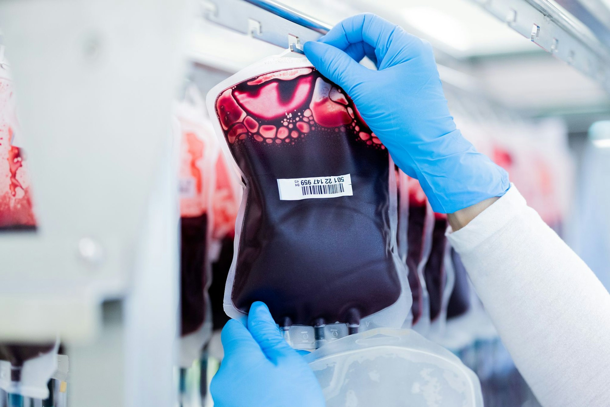 Mit einem halben Liter Blut können bis zu drei Patienten versorgt werden. (Archivbild)