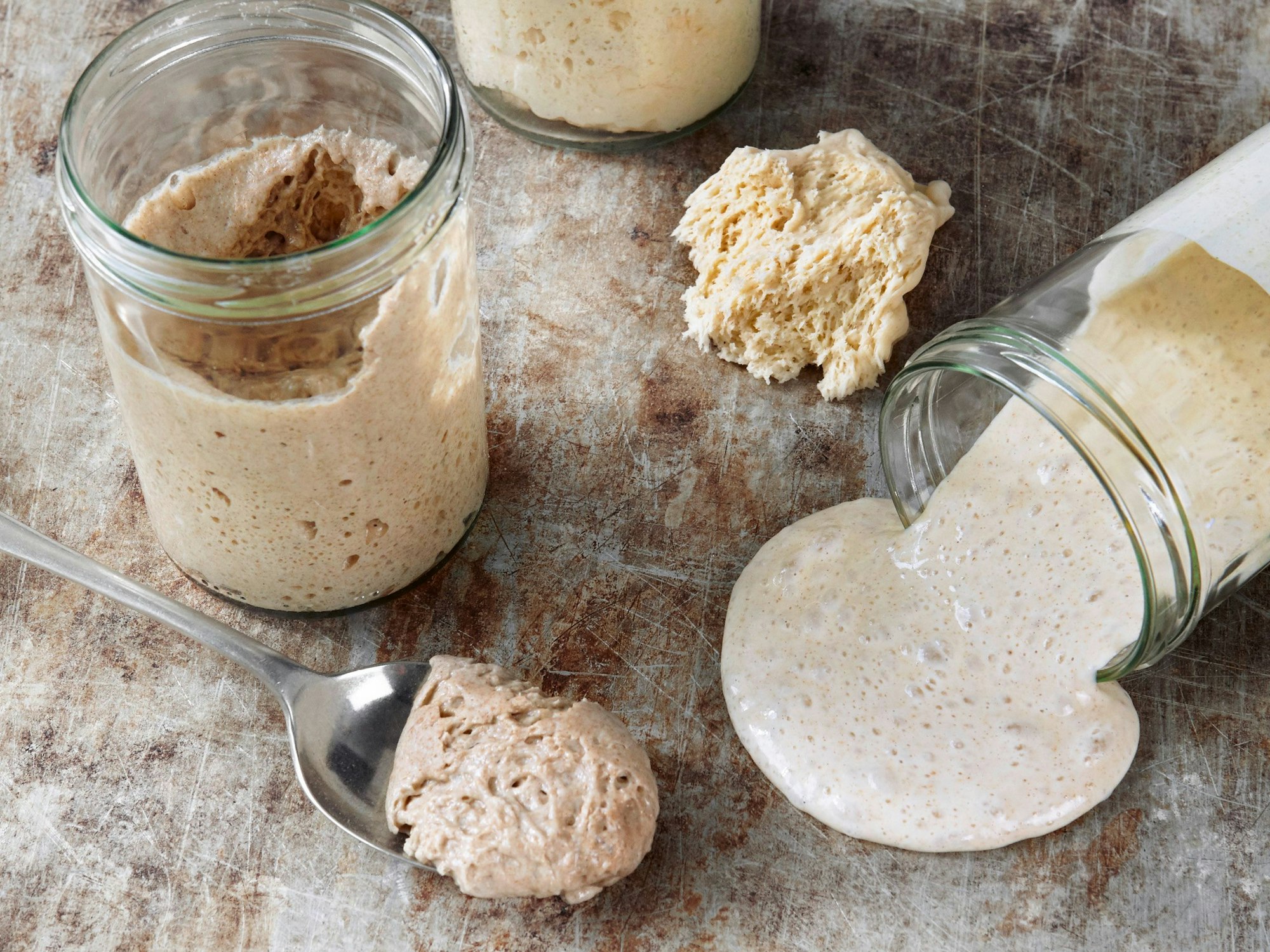 Die „Geburt“ eines Sauerteigs dauert drei bis fünf Tage. In der Zeit muss er immer wieder mit Mehl und Wasser gefüttert werden.