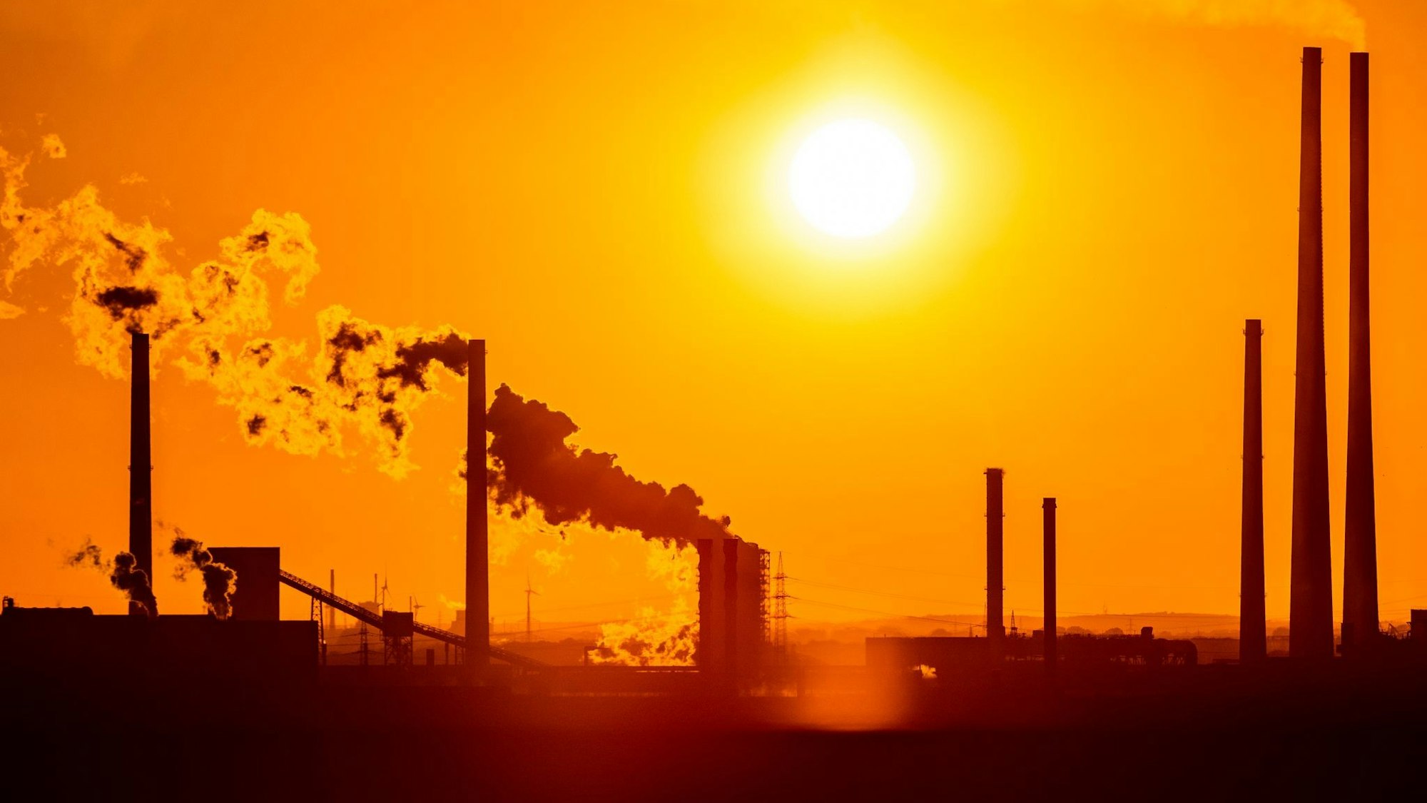 Die deutsche Wirtschaft könnte laut Ifo-Institut im kommenden Jahr kräftig wachsen. (Symbolbild)