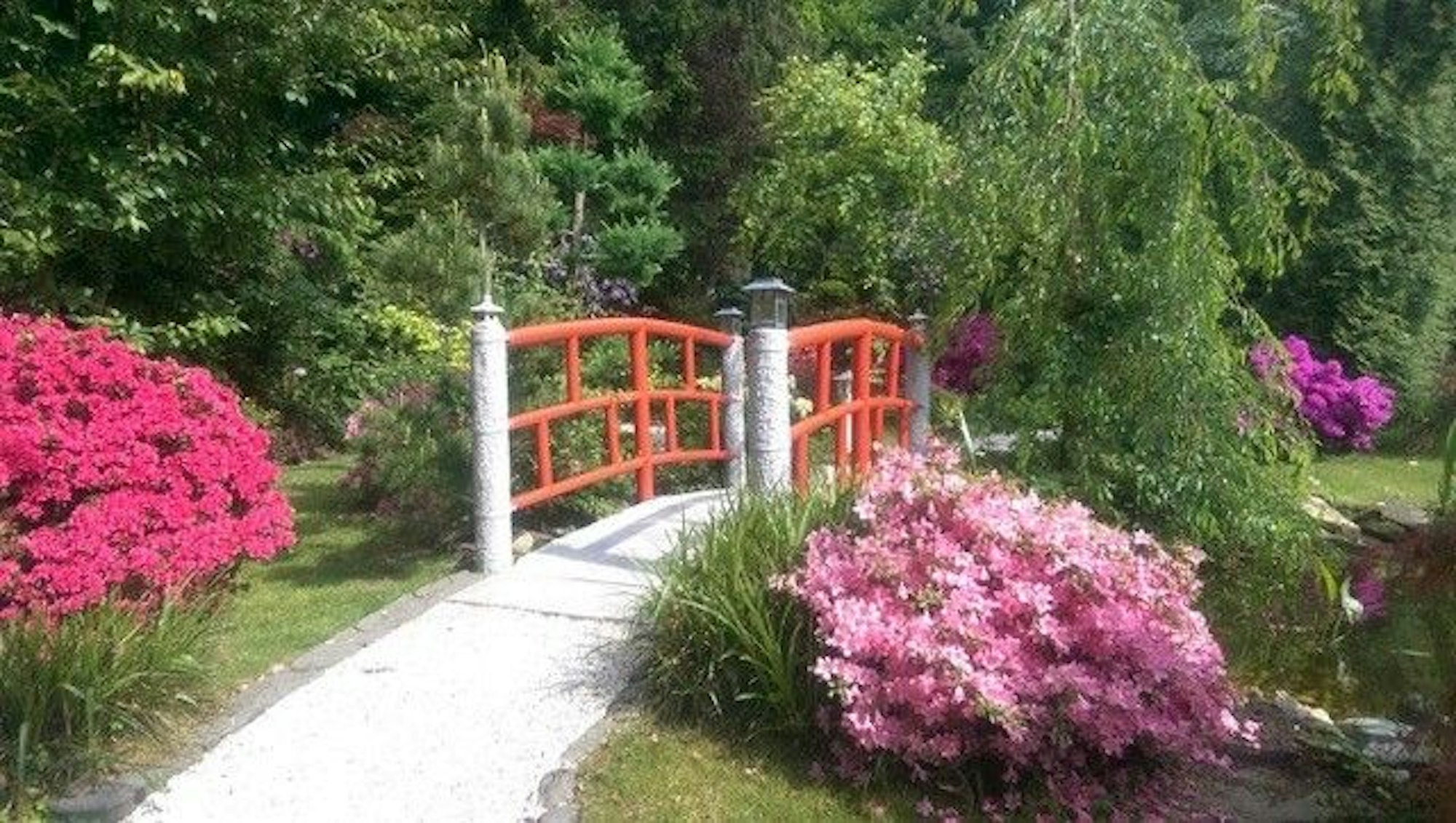 In einem Garten führt eine kleine Brücke mit rotem Geländer über einen Bach.
