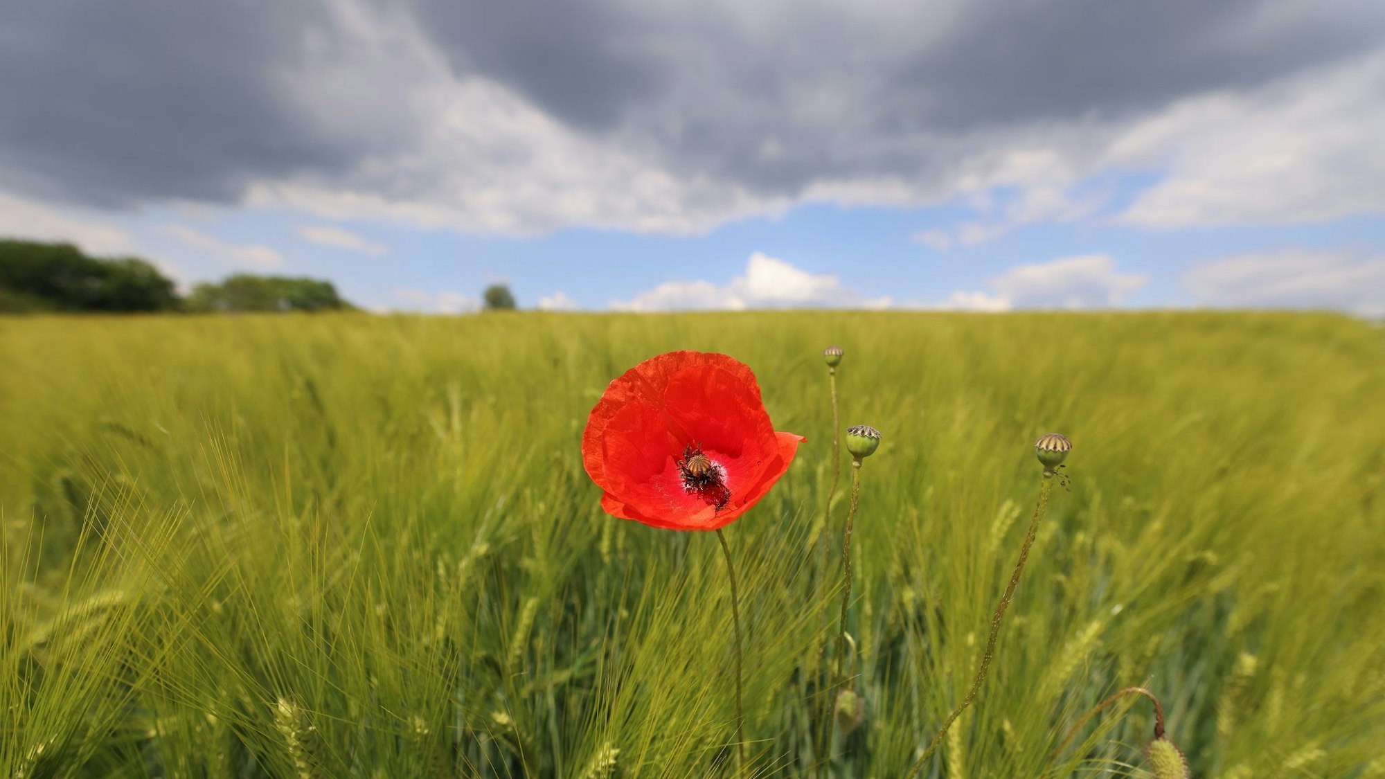 Örtlich können sich ab dem Nachmittag Gewitter mit Starkregen bilden. (Archivfoto)