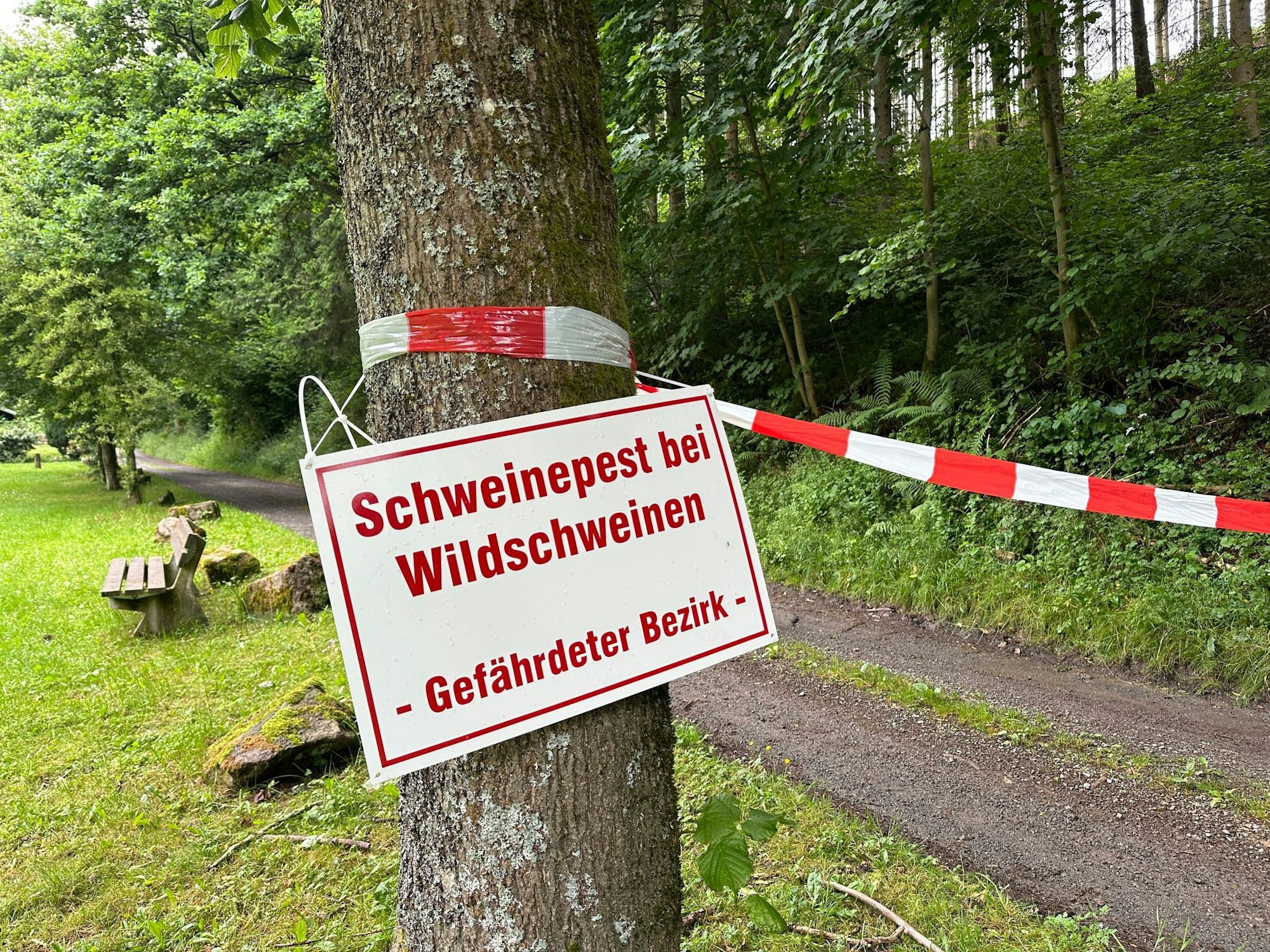Die Afrikanische Schweinepest ist im Sauerland angekommen - ein Schild in Kirchhundem warnt vor dem Virus.