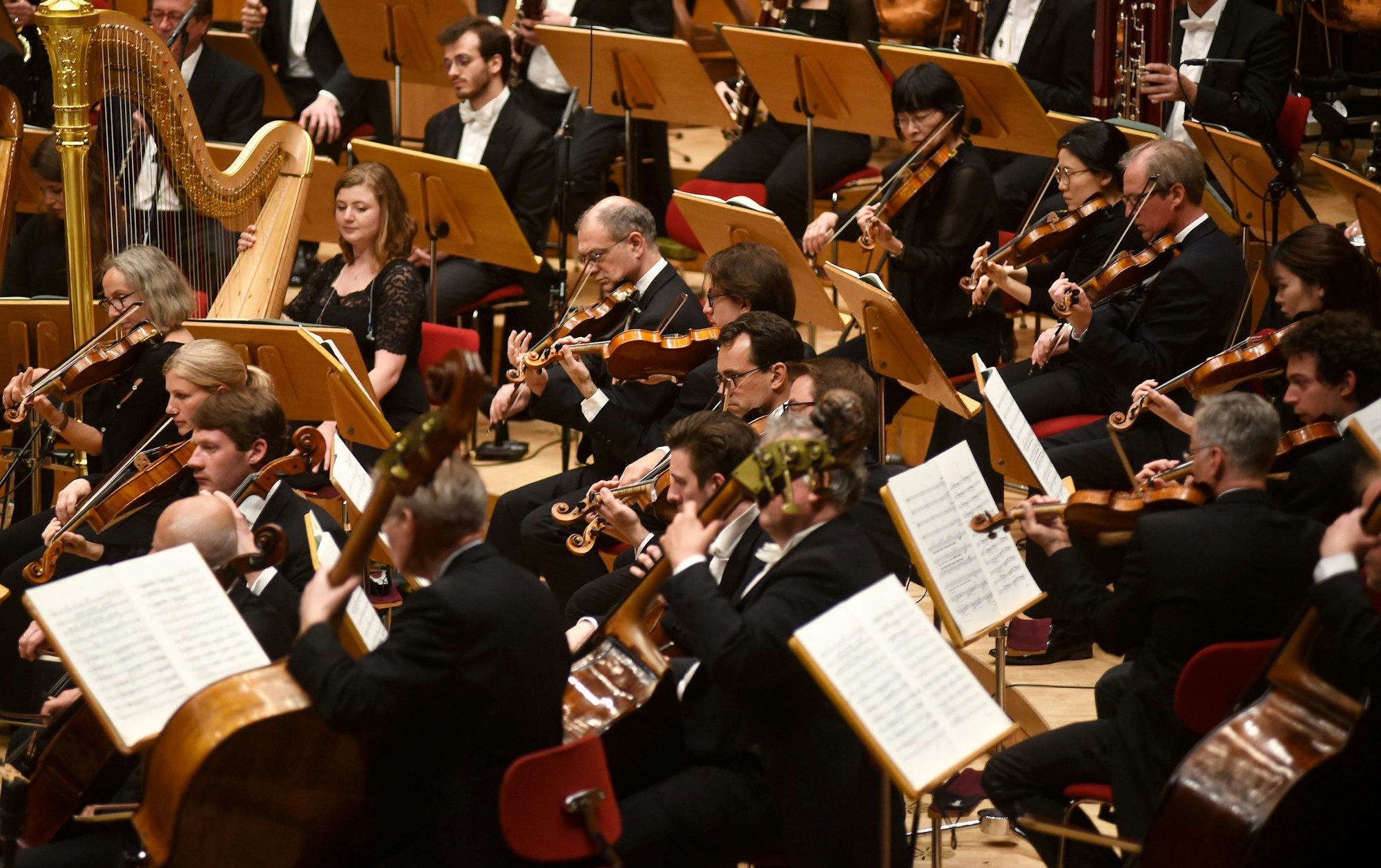 Das WDR Sinfonieorchester in der Philharmonie. (Archivbild)