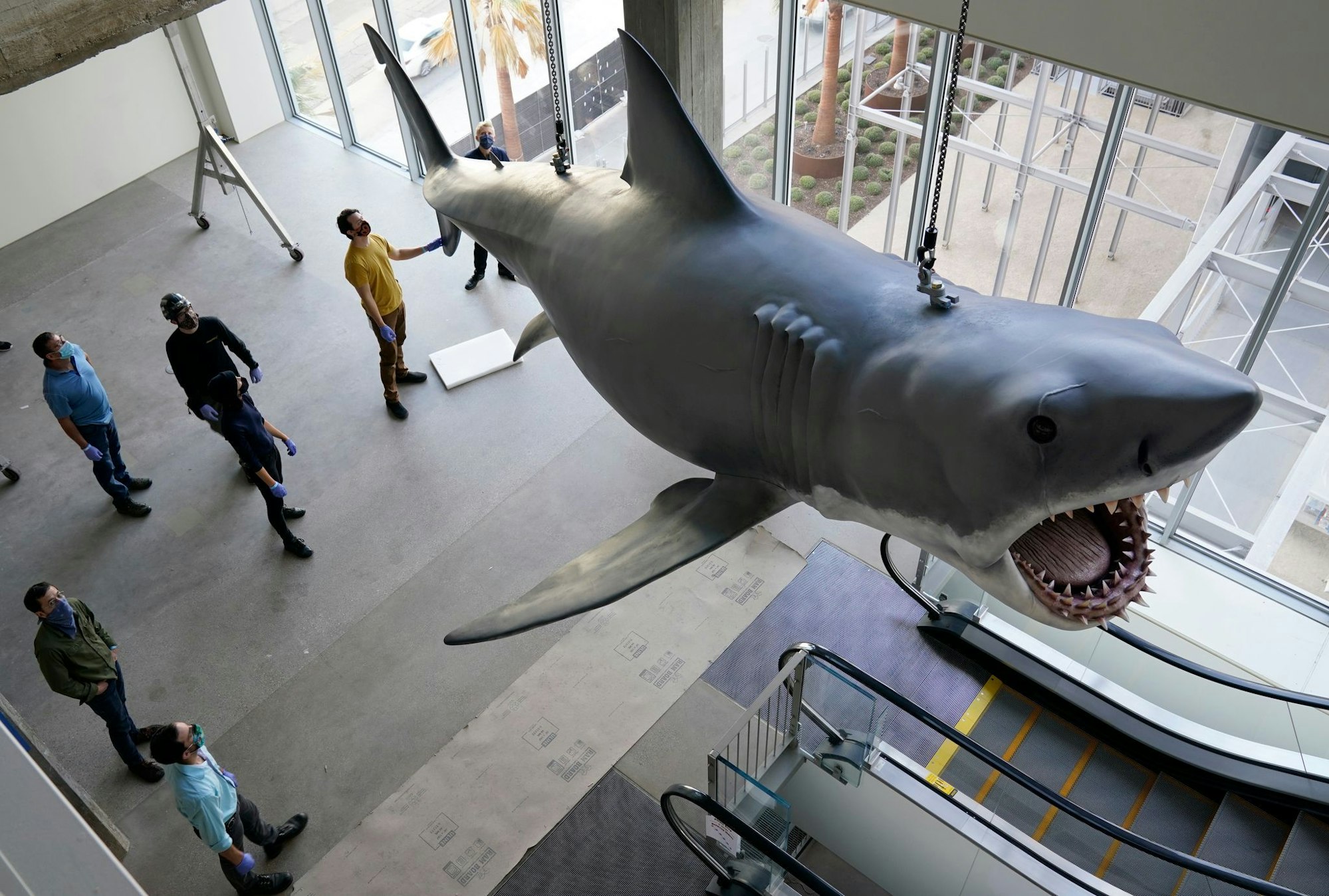 Mit dem mechanischen Hai «Bruce», hier restauriert im Academy Museum of Motion Pictures in Los Angeles, gab es bei den Dreharbeiten zu «Der weiße Hai» mannigfaltige Probleme. (Archivbild)
