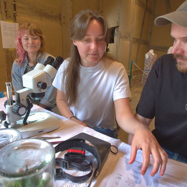 Katja Schüller zeigt Isabelle Houben und Martin Schinken unter dem Mikroskop kleine Tierchen, die mit Stoff zu tun haben.