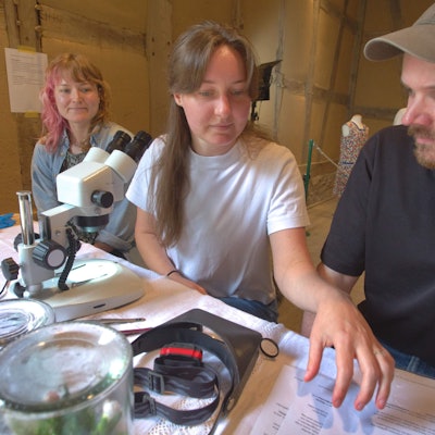 Katja Schüller zeigt Isabelle Houben und Martin Schinken unter dem Mikroskop kleine Tierchen, die mit Stoff zu tun haben.