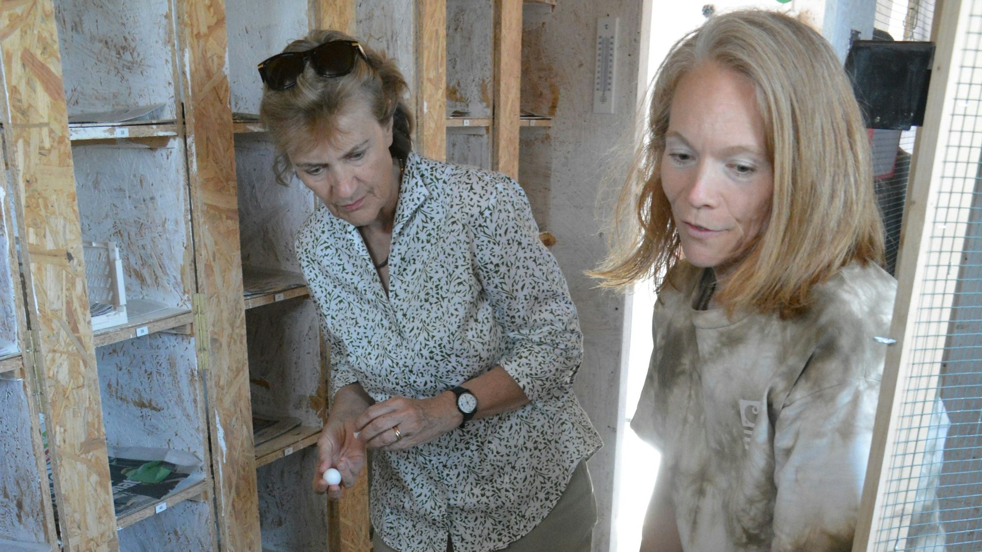 Bezirksbürgermeisterin Claudia Greven-Thürmer und Dr. Sarah Wirthele von den „Veedelstauben“ im Taubenhaus auf dem Parkdeck der Köln Arcaden an der Vietorstraße.