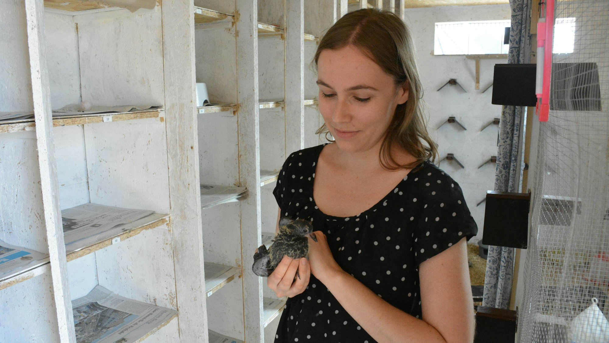 Svenja Stollenwerk zeigt ein Küken, das jüngst geschlüpft ist.