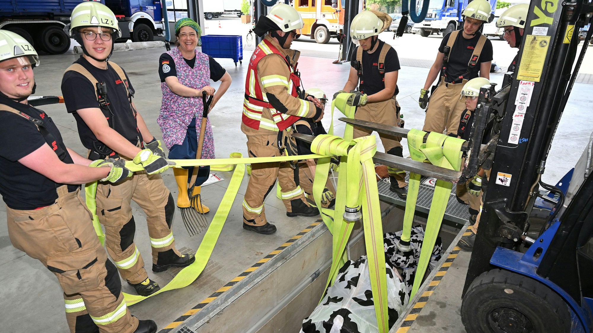 Bei der Jahresübung der Feuerwehr Bergisch Gladbach wird eine Kuh mit Schlauchschlingen aus einer Grube gehoben.