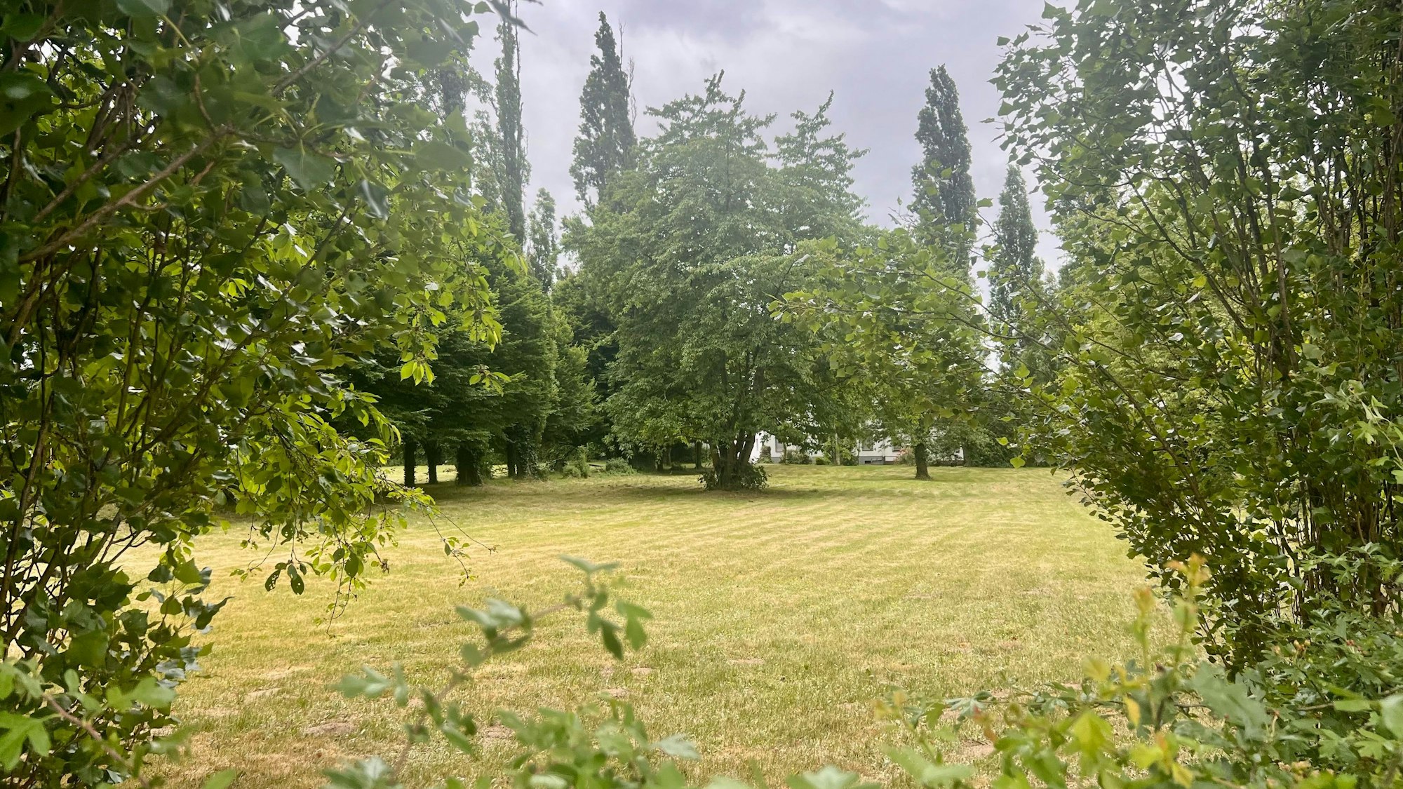 Auf dem Gelände an der Hohe Straße 1 ist Wohnbebauung geplant.