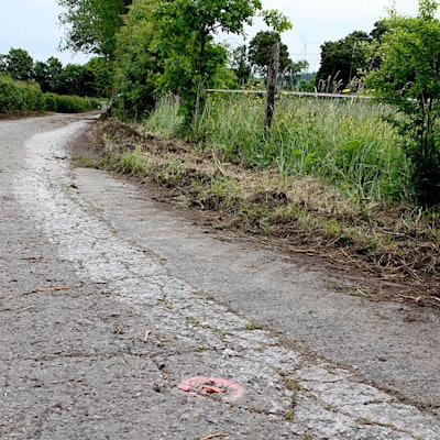 Das Bild zeigt einen Wirtschaftsweg, der von Hecken gesäumt wird.