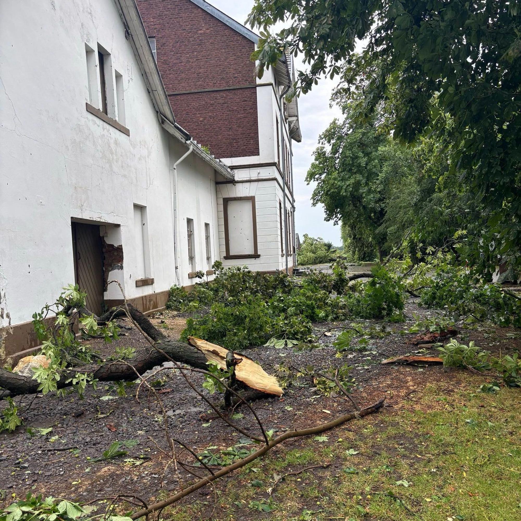 Umgestürzte Bäume liegen vor einem Haus,