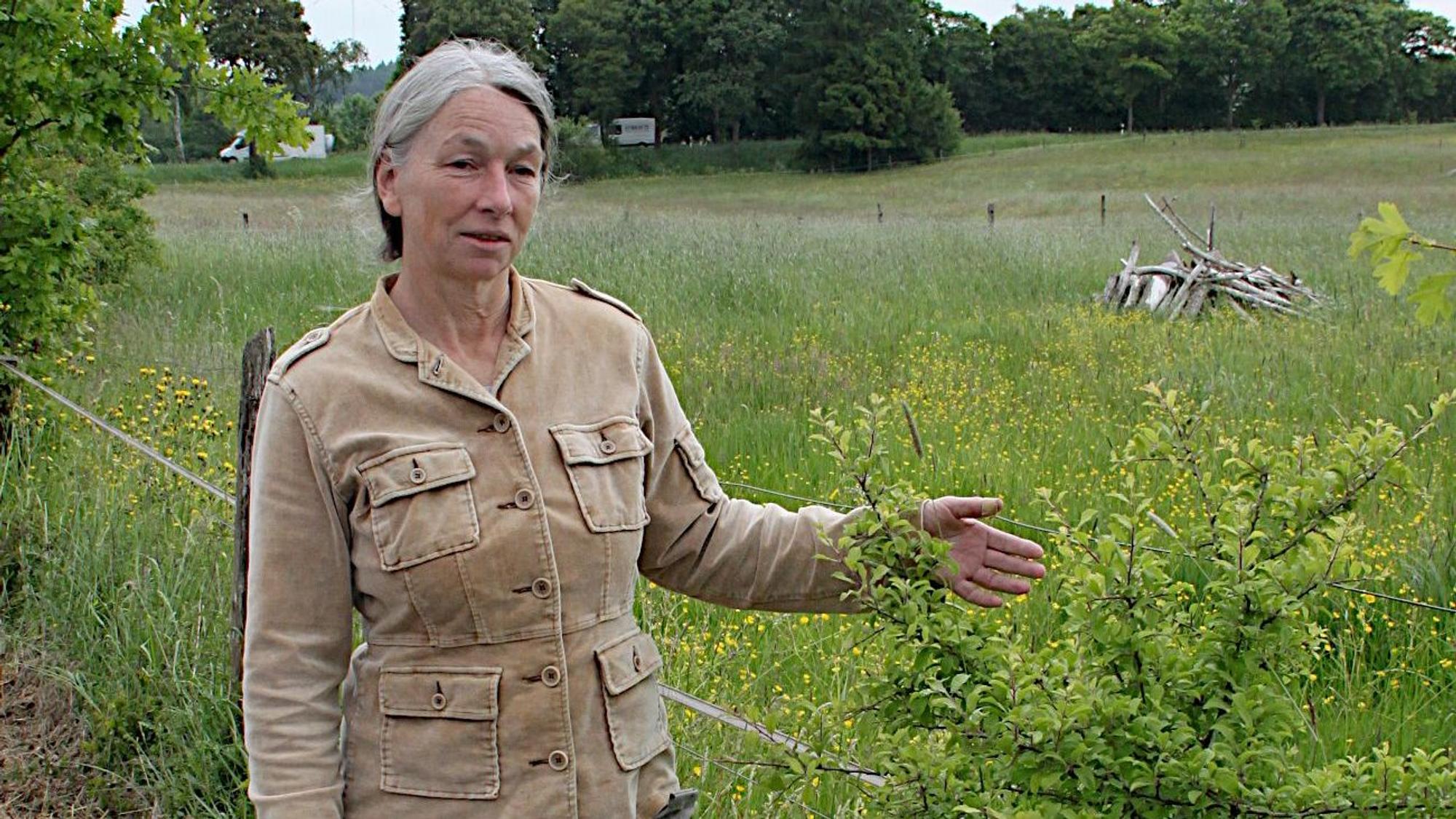 Das Bild zeigt eine Frau am Rand einer Wiese.