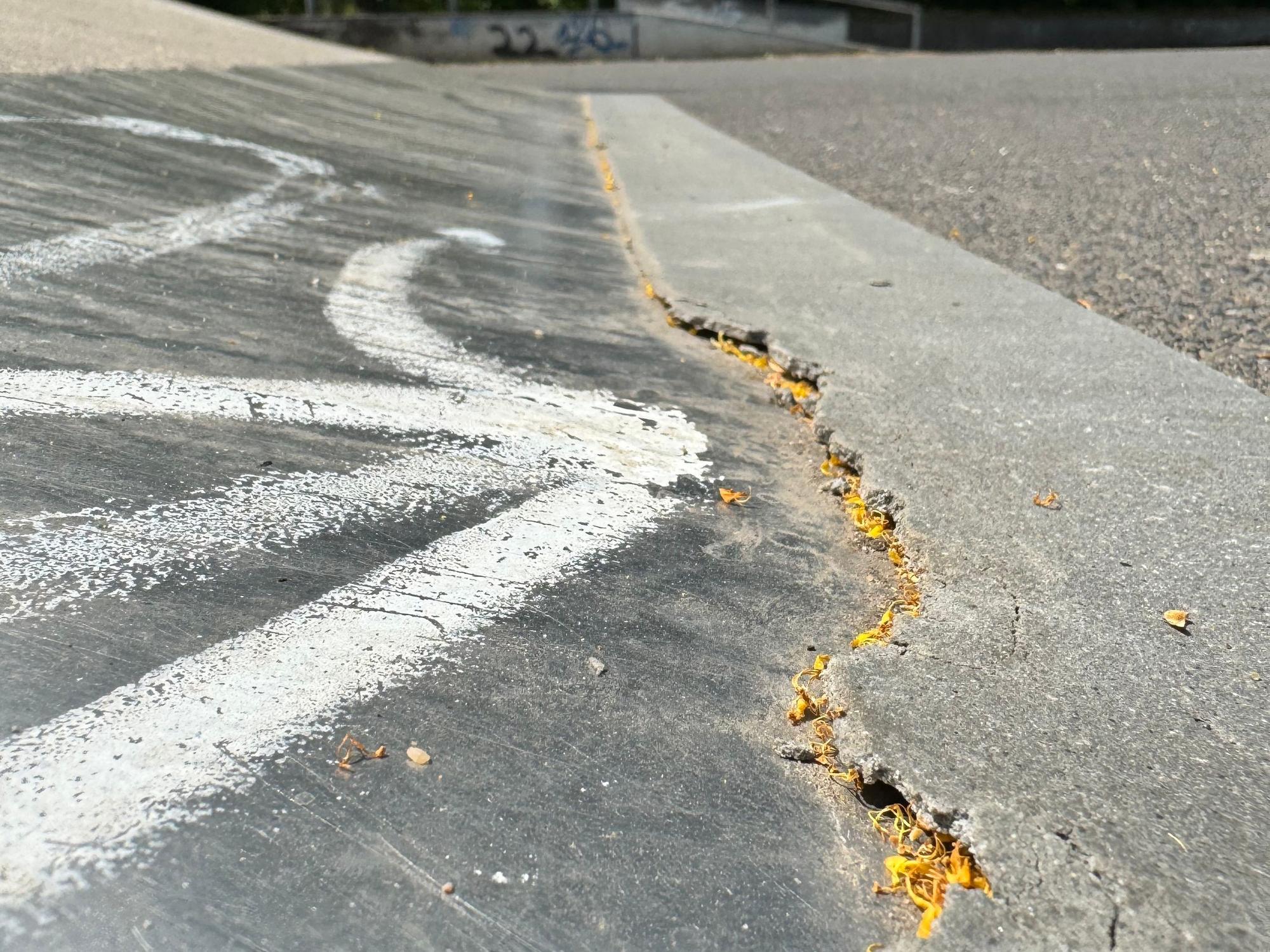 Auf dem Bild ist eine abgeplatzte Kante an der Skateanlage zu sehen.