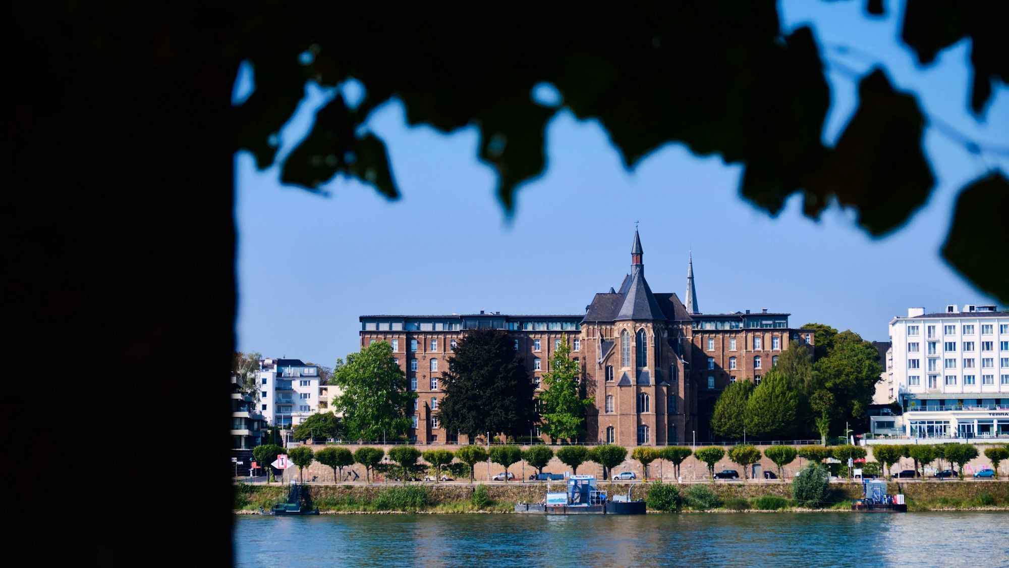 View to Collegium Albertinum Bonn View to famous Collegum Albertinum in Bonn, Germany Bonn North Rhine-Westphalian Germany