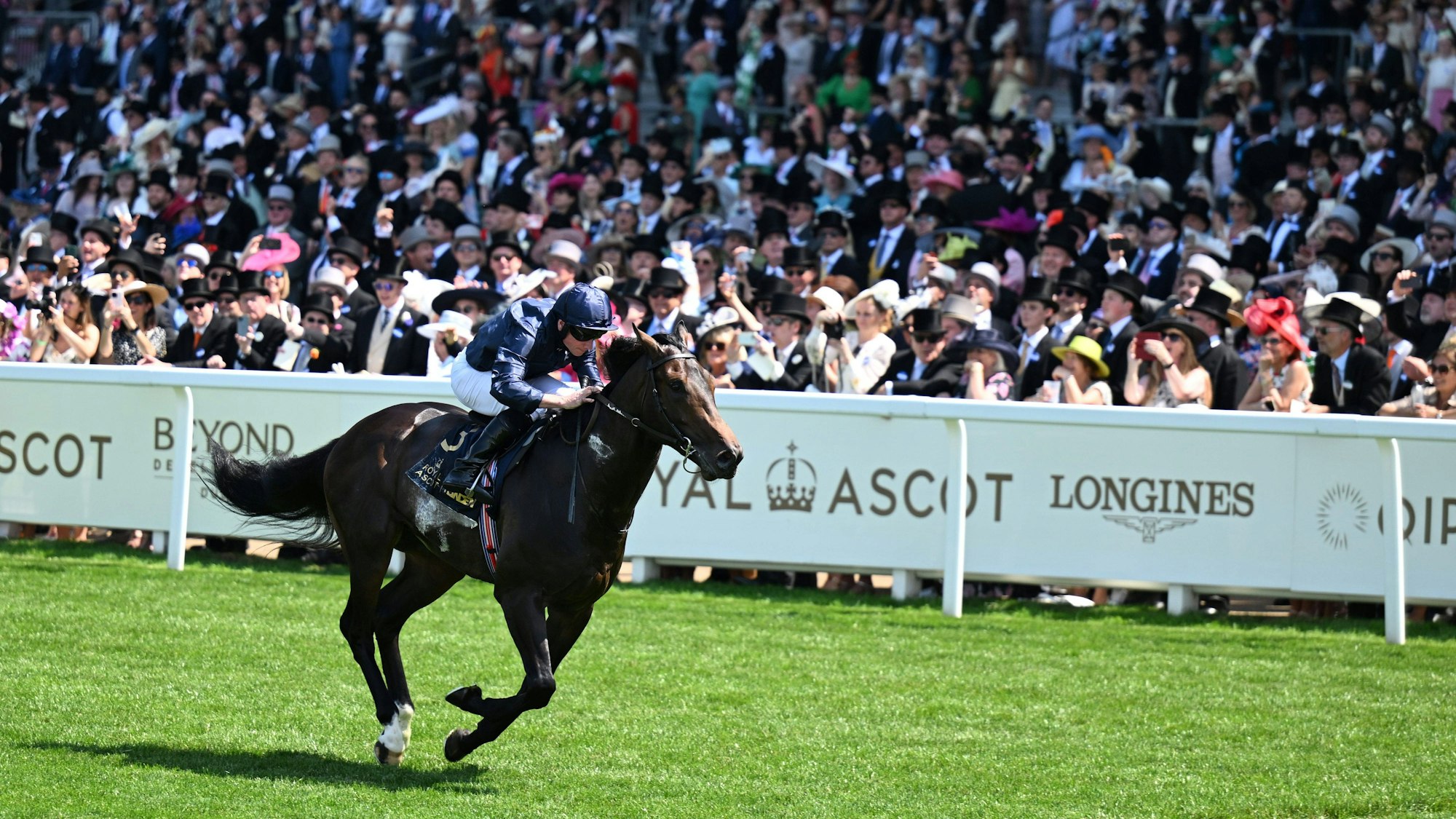 RECORD DATE NOT STATED 19th June 2025 Ascot Racecourse, Berkshire, England Royal Ascot Horse Racing, Day 3 Charles Darwin ridden by Ryan Moore wins The Norfolk Stakes PUBLICATIONxNOTxINxUK ActionPlus12802594 SimonxWest