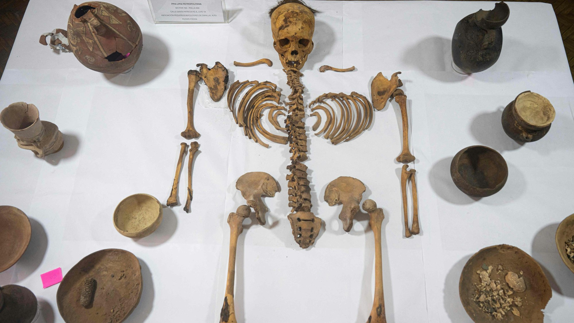 Sorgfältig aufbereitet: Experten zeigen eine Mumie aus der Zeit vor den Inka – entdeckt bei Bauarbeiten mitten in Lima.