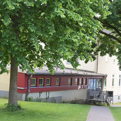 Das Gebäude der GGS Gronau ist von außen zu sehen. Davor steht ein Baum. r