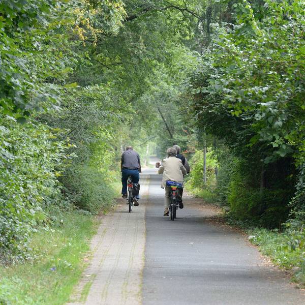 Der Radweg ist zum Teil mit Gras zugewuchert.
