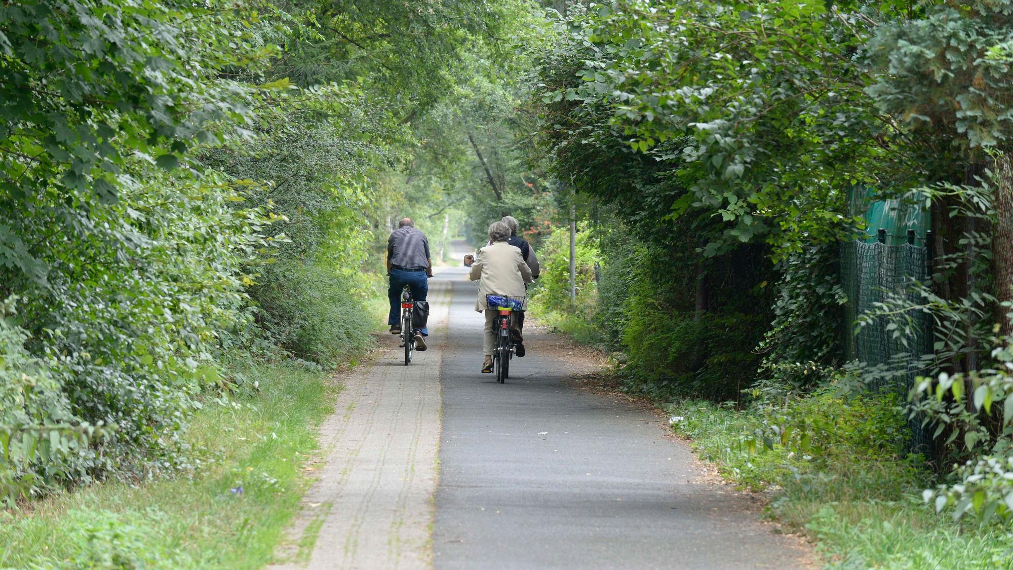 Der Radweg ist zum Teil mit Gras zugewuchert.