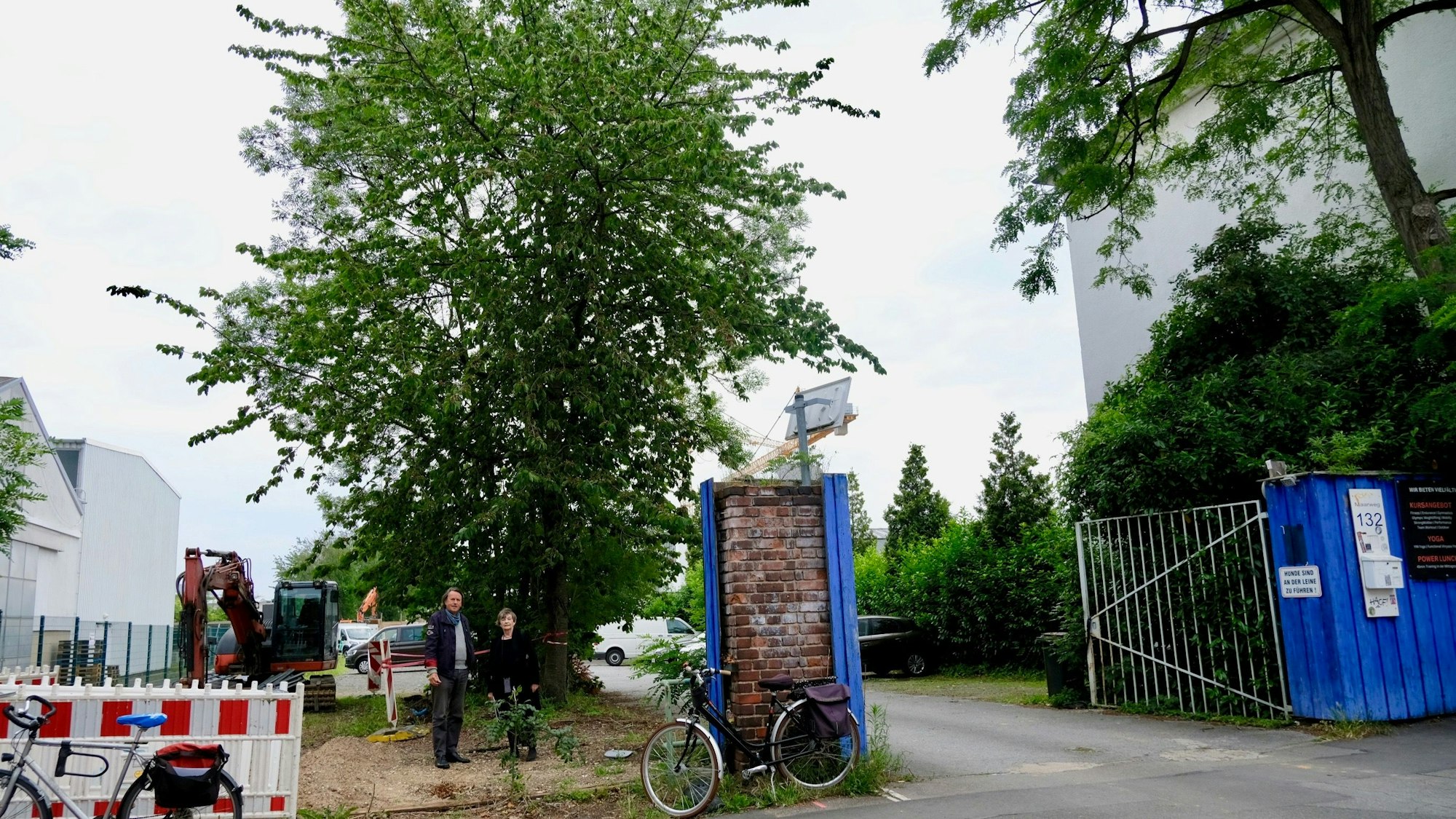 Neben einer Toreinfahrt stehen zwei Menschen unter mehreren hohen Bäumen.