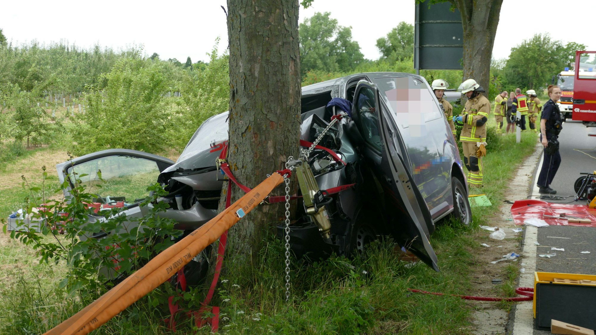 Ein Handwerkerfahrzeug ist frontal vor einen Baum gefahren.