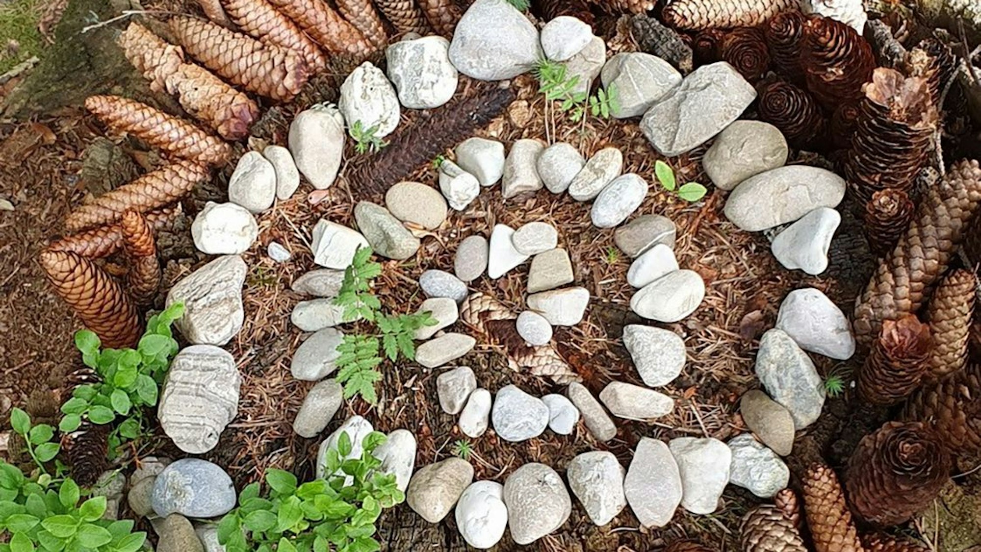 Mandalas aus Naturmaterialen können Kinder und Jugendliche mit Ricarda Heller legen.