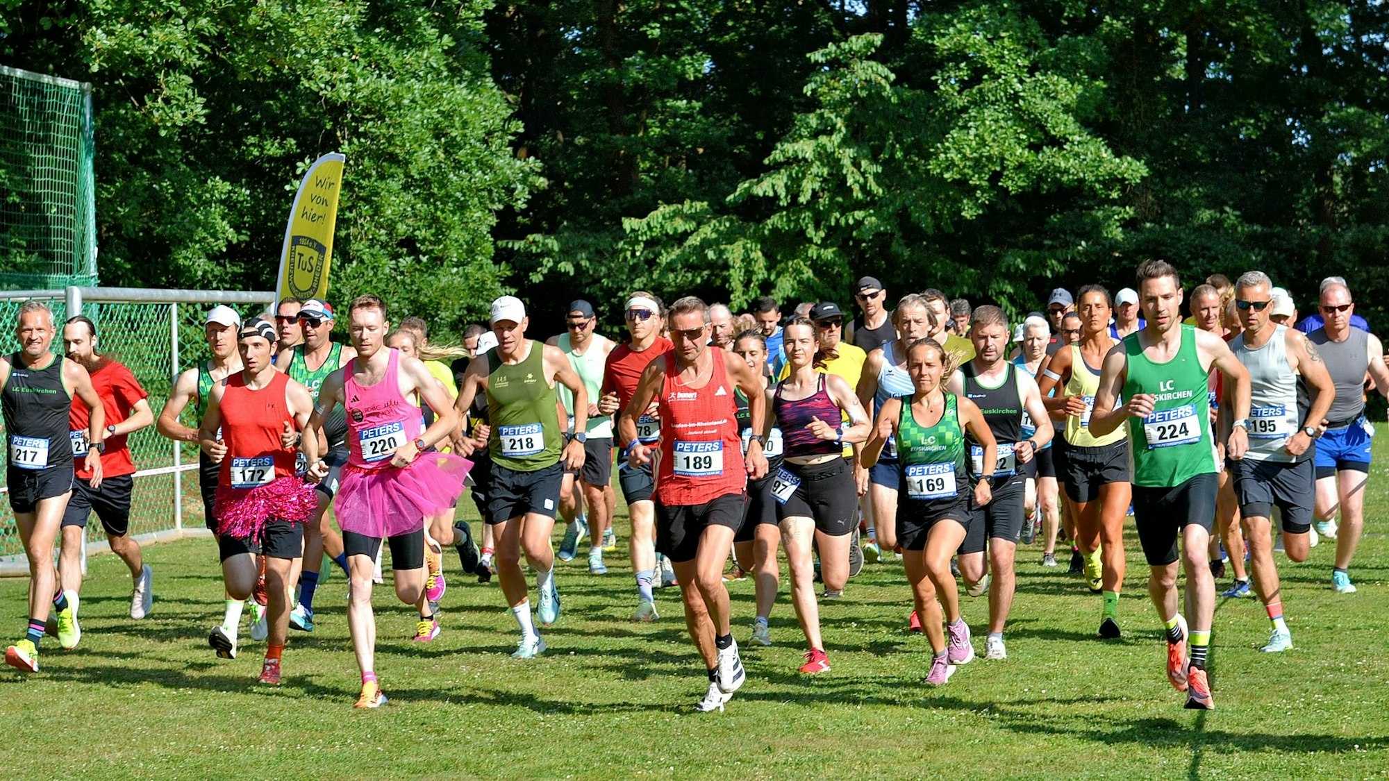 81 Läuferinnen und Läufer laufen über eine Wiese.