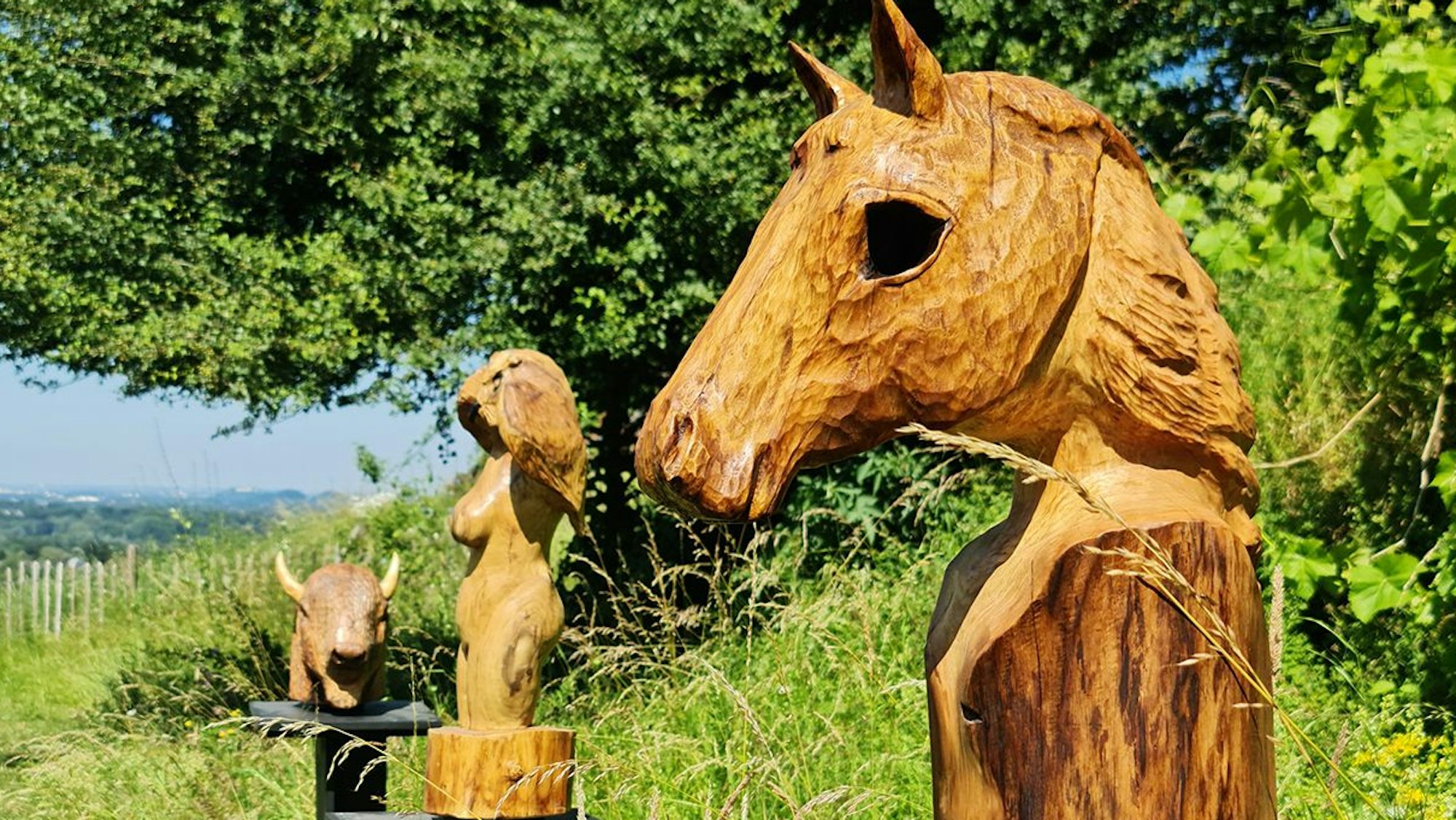 Mit Holzskulpturen ist Rainer Söntgerath bei „Kunst auf der Burg“ vertreten.