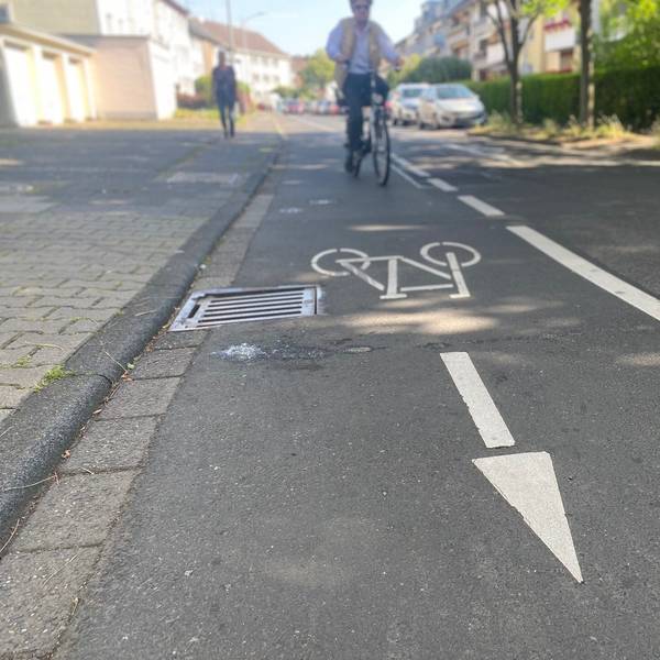 Zu sehen ist eine Radwegmarkierung.