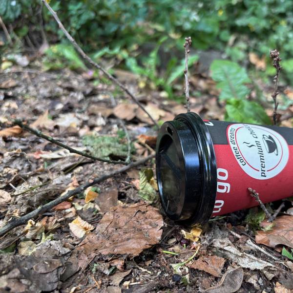 Auf dem Bild ist ein To-go-Kaffeebecher in einem Gebüsch zu sehen.