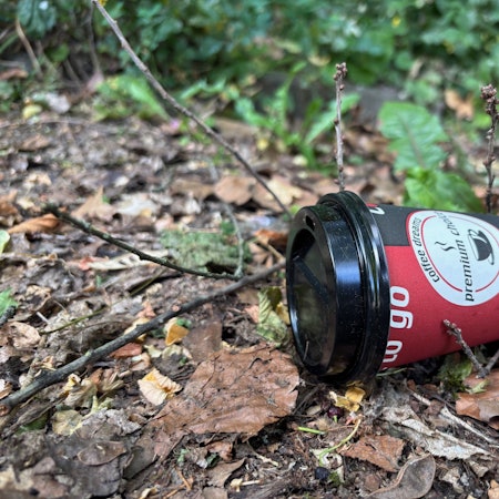 Auf dem Bild ist ein To-go-Kaffeebecher in einem Gebüsch zu sehen.