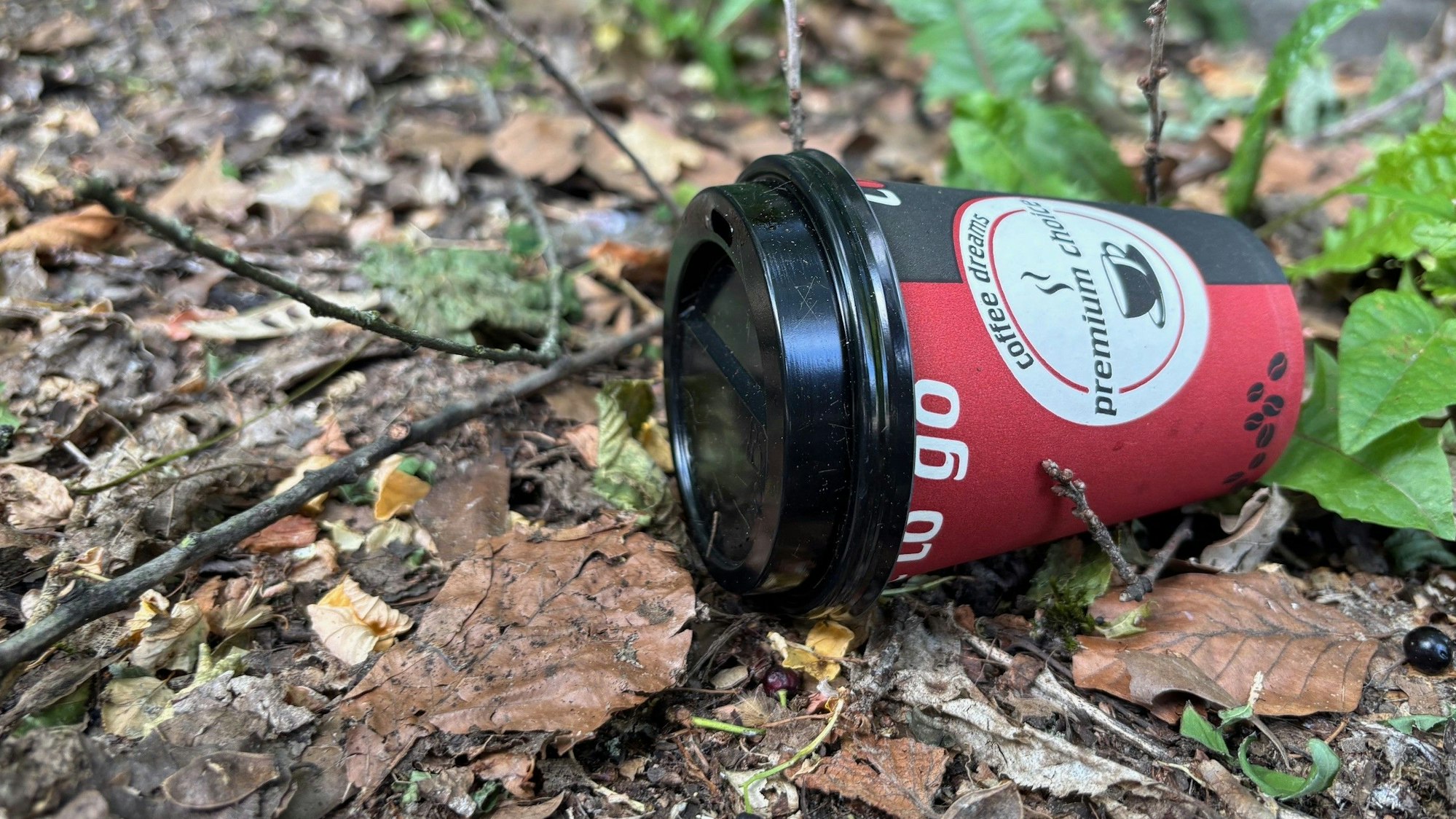 Auf dem Bild ist ein To-go-Kaffeebecher in einem Gebüsch zu sehen.