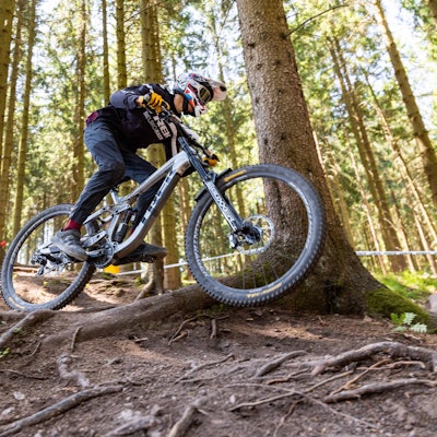 Ein Mountainbike-Event im Sauerland kann wegen der Schweinepest nicht stattfinden (Symbolbild).