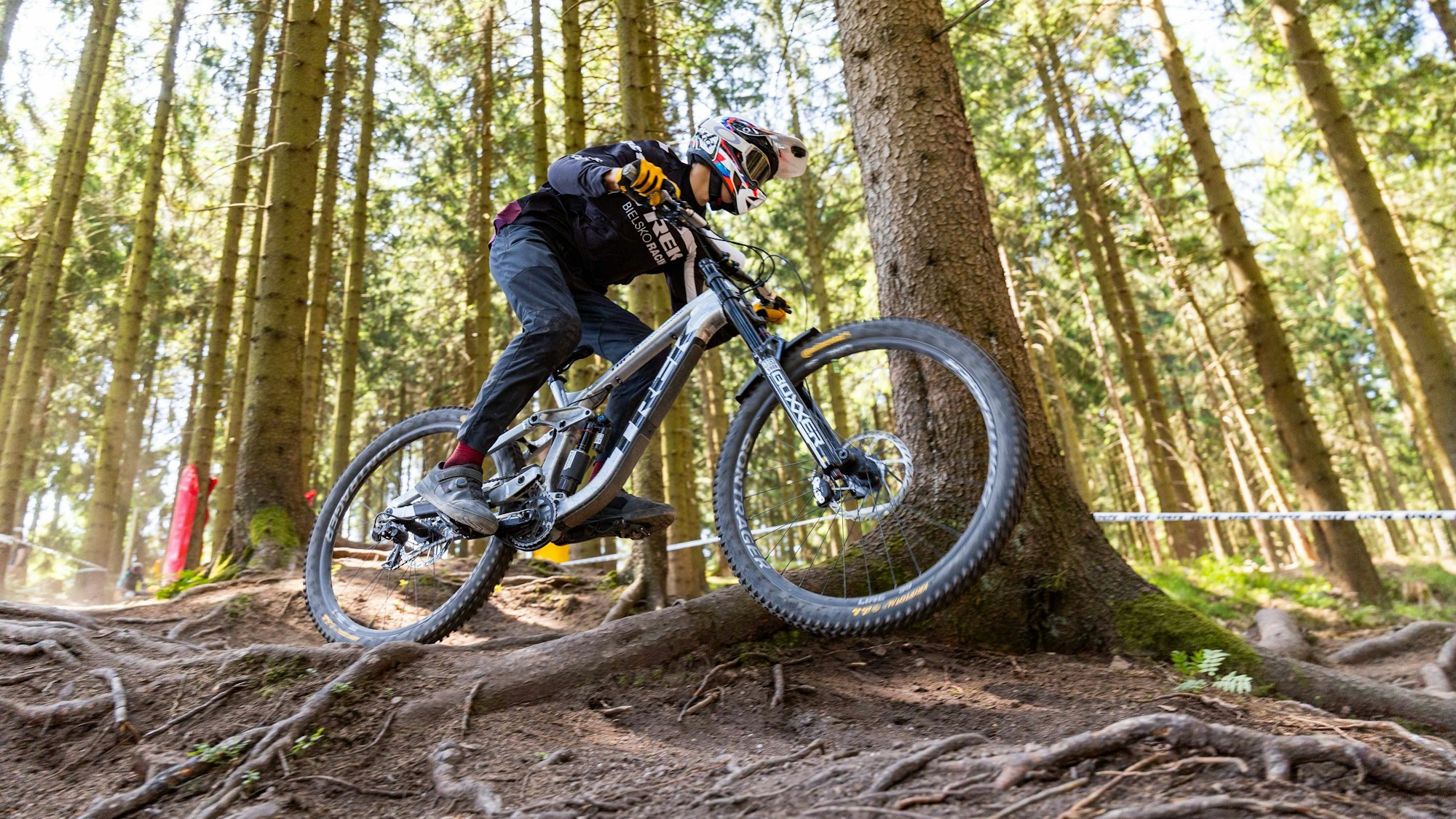 Ein Mountainbike-Event im Sauerland kann wegen der Schweinepest nicht stattfinden (Symbolbild).