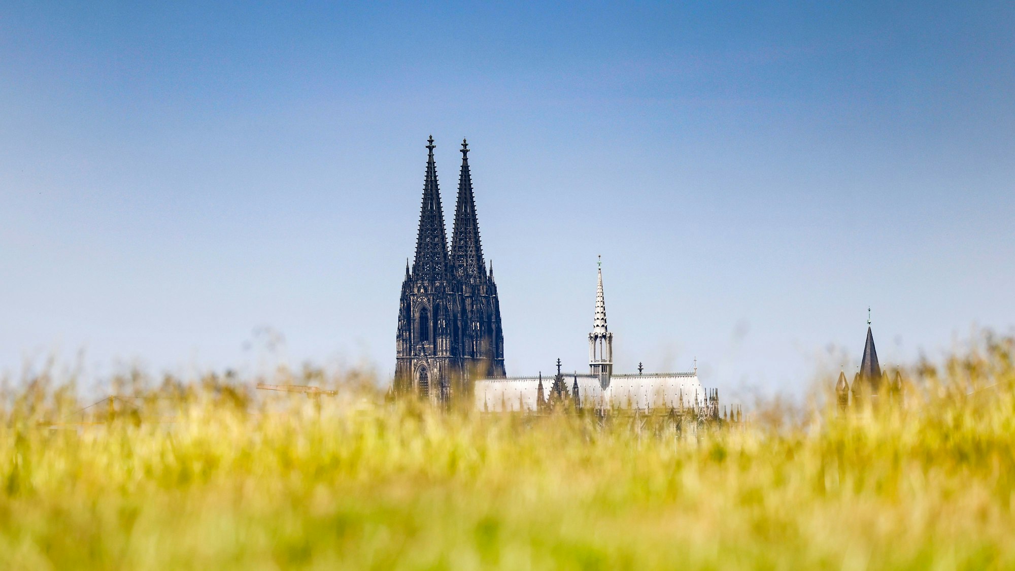 Der Kölner Dom vor blauem Himmel.