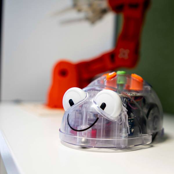 Das Bild zeigt einen kleinen Roboter, der mit wenigen Knopfdrücken programmiert werden kann. Er hat die Form einer Maus.