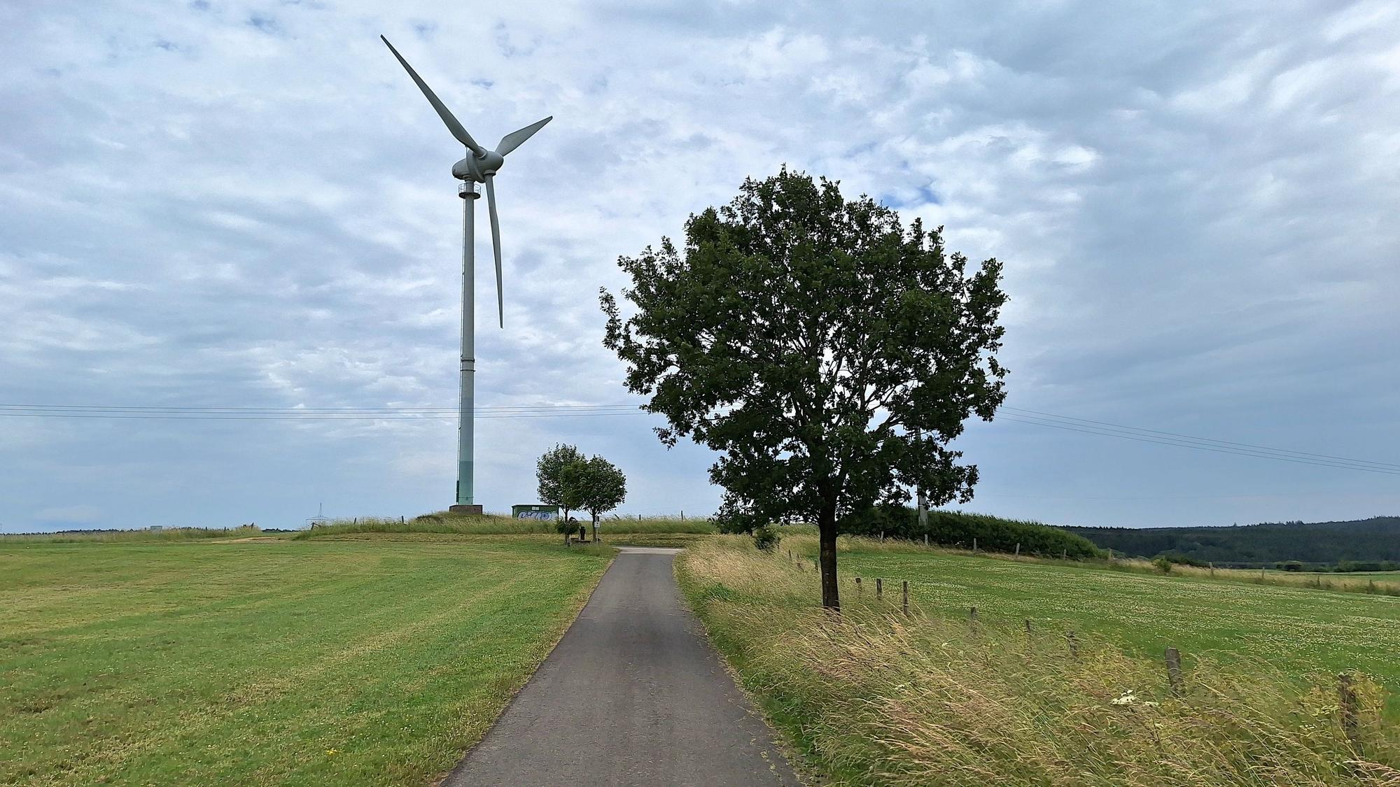 Links von einem asphaltierten Wirtschaftsweg bei Dahlem steht ein Windrad, rechts ist ein Baum.