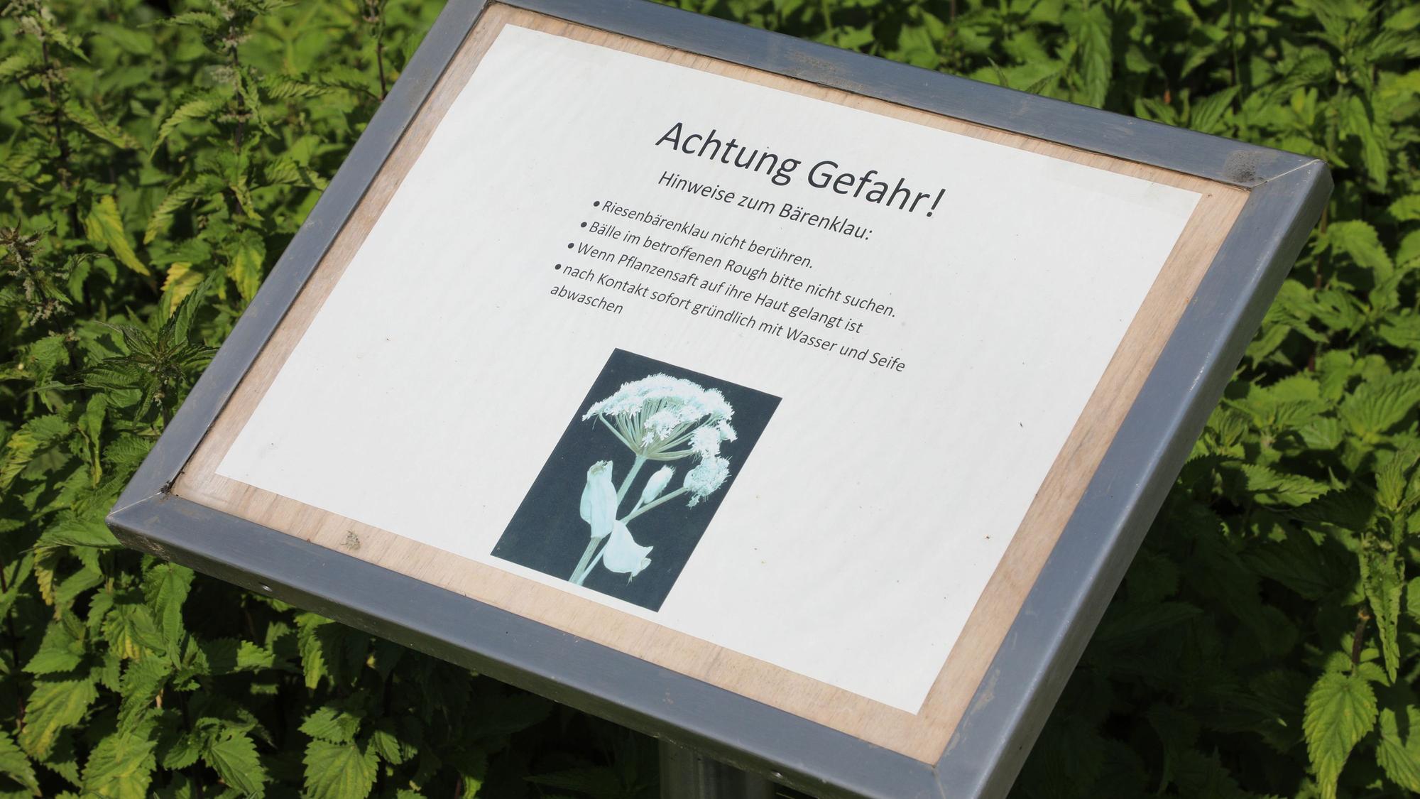 Eine Warntafel weist auf die Gefahr durch Riesenbärenklau hin.